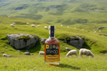 A bottle of Mountain Mead Mynydd whisky barrel aged sweet Welsh mead, with sheep and mountains in the background